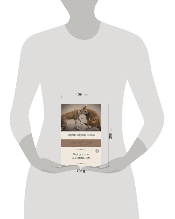 Город и псы. Зеленый Дом