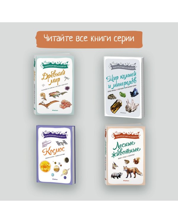 Мир камней и минералов