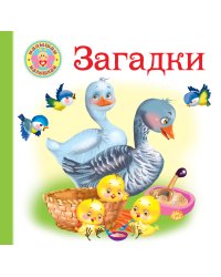 Загадки