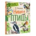 Первые книжки о животных Наши птицы