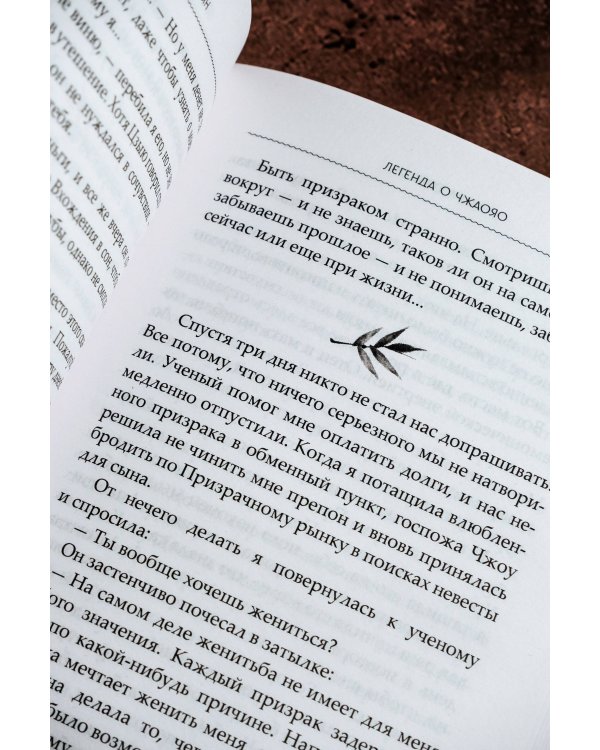 Легенда о Чжаояо. Книга 2