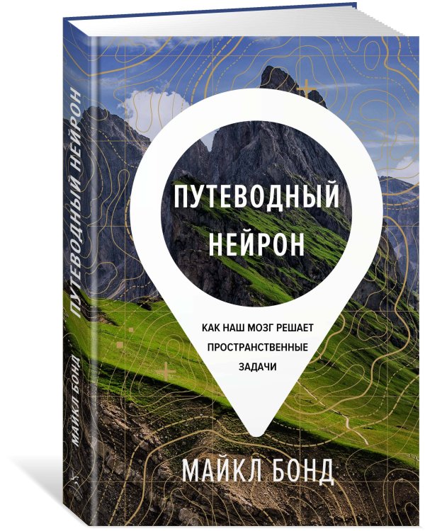 Путеводный нейрон: Как наш мозг решает пространственные задачи