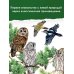 Первые книжки о животных Наши птицы