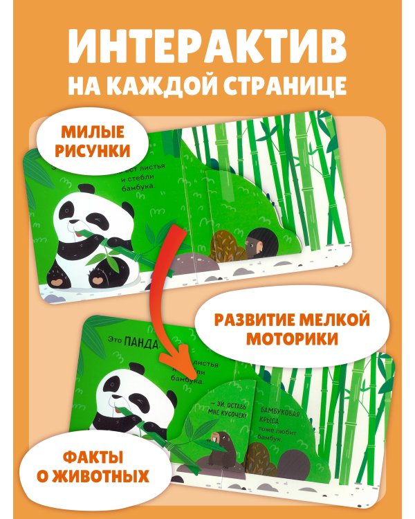 Дополнительное изображение книги «Дикие животные»