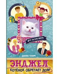 Энджел. Котенок обретает дом