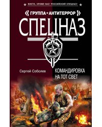 Командировка на тот свет: роман