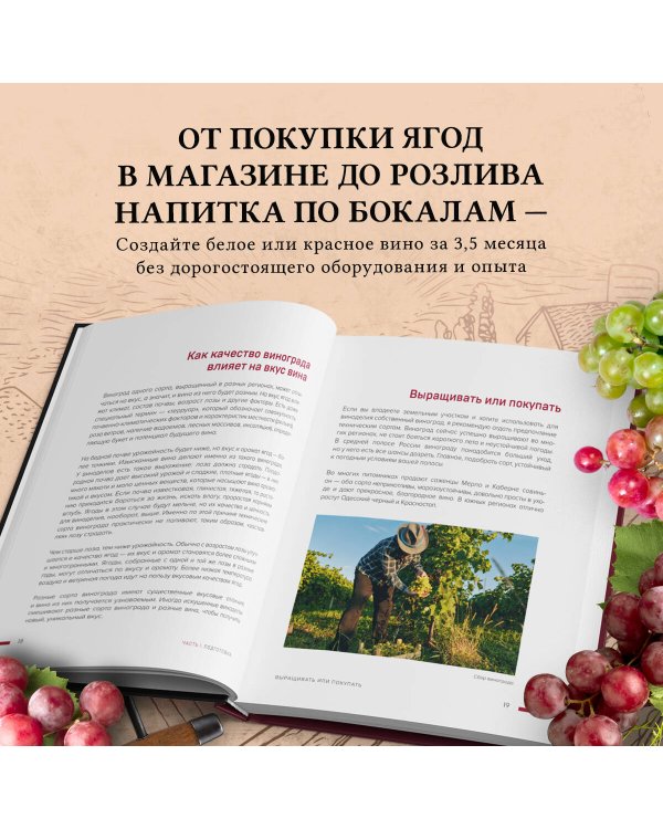 Домашнее виноделие от А до Я: виноградное вино. Пошаговое руководство