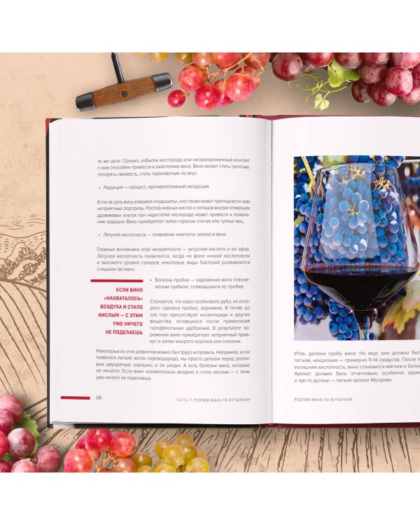 Домашнее виноделие от А до Я: виноградное вино. Пошаговое руководство