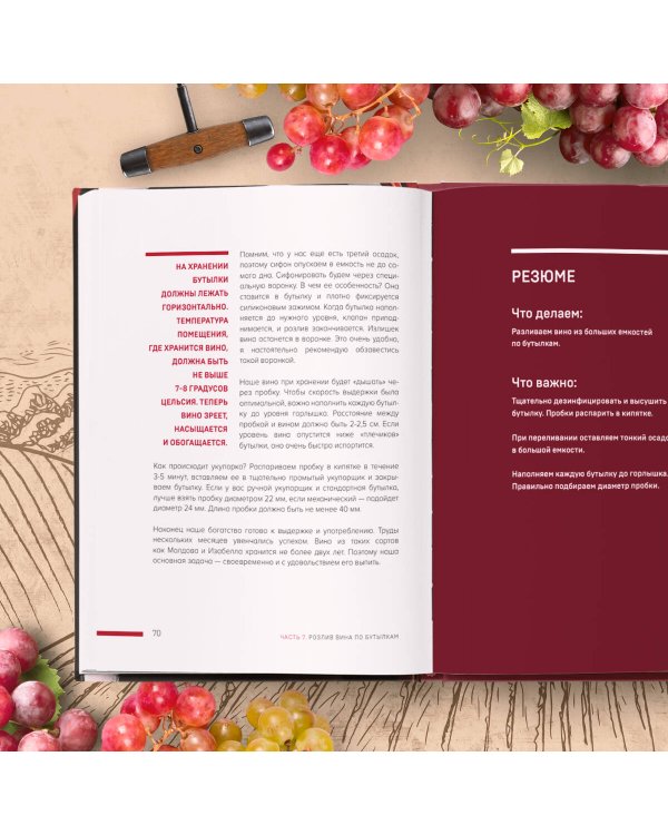 Домашнее виноделие от А до Я: виноградное вино. Пошаговое руководство