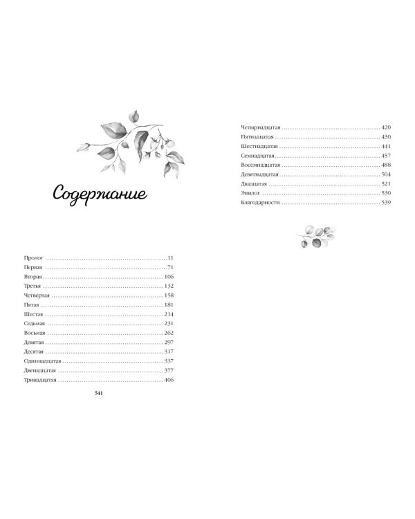 Красавицы Бостона. Монстр (#3)