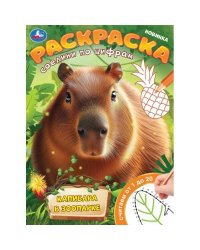 Капибара в зоопарке. Раскраска. Соедини по цифрам. 214х290 мм. Скрепка. 16 стр. Умка в кор.50шт