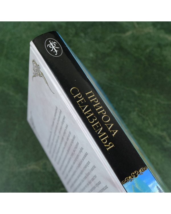 Природа Средиземья