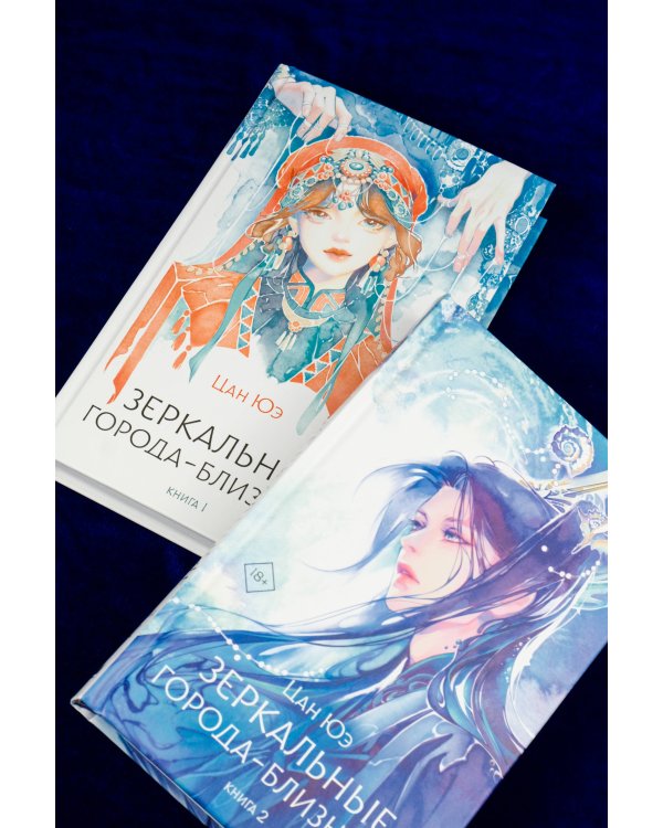 Зеркальные города-близнецы. Книга 2