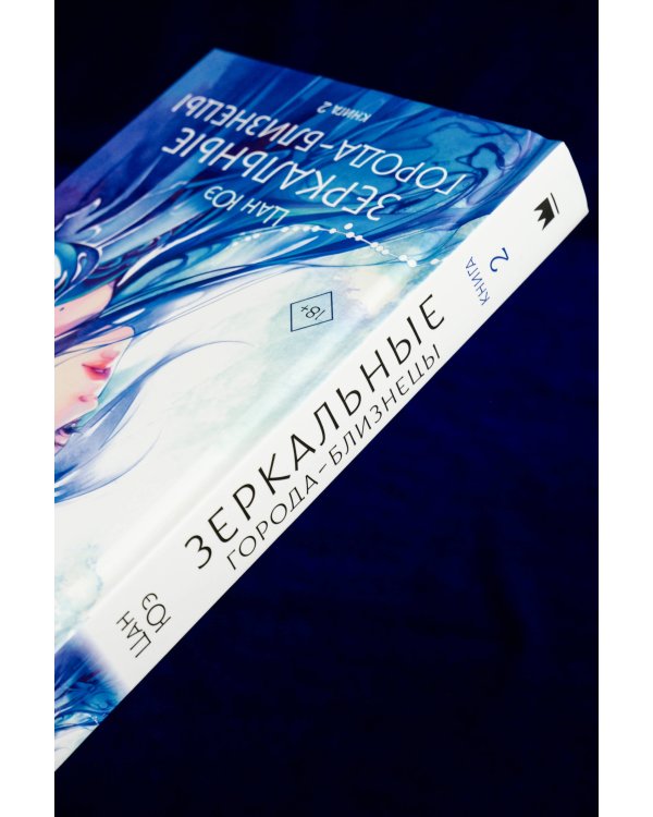 Зеркальные города-близнецы. Книга 2