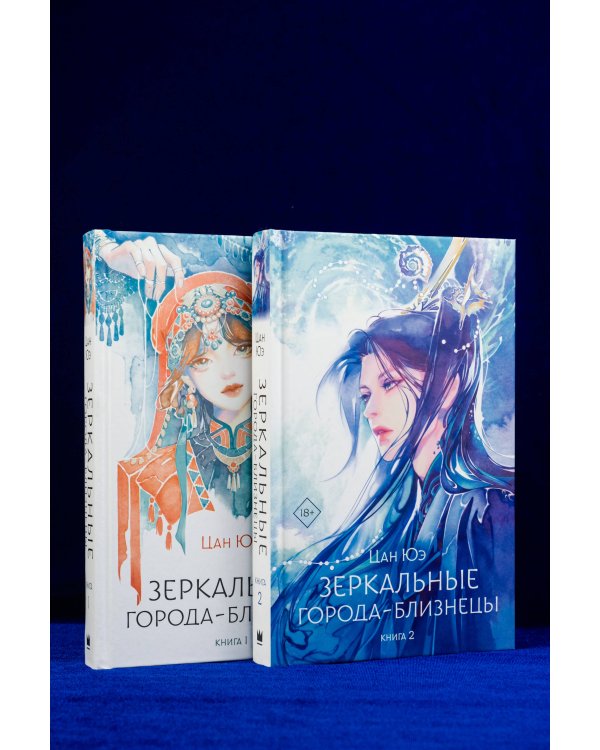 Зеркальные города-близнецы. Книга 2