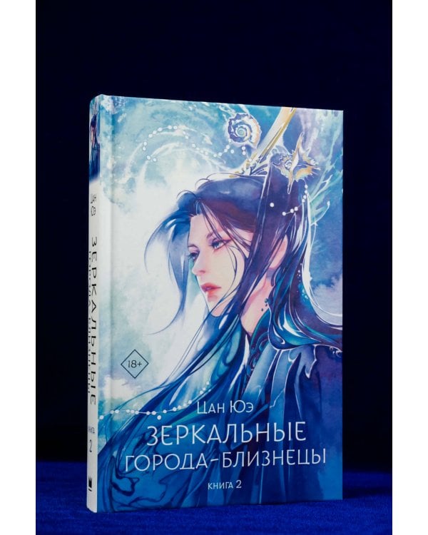 Зеркальные города-близнецы. Книга 2