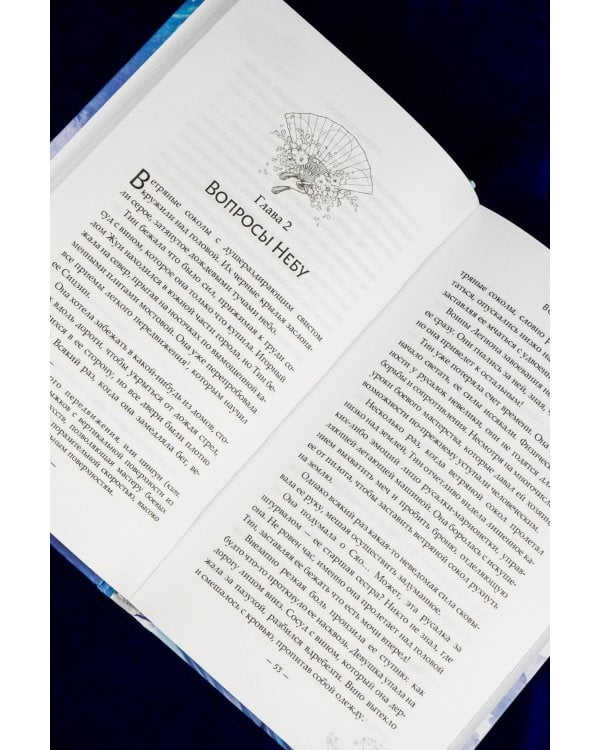 Зеркальные города-близнецы. Книга 2