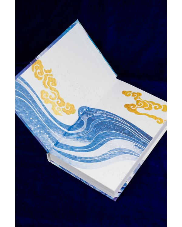 Зеркальные города-близнецы. Книга 2