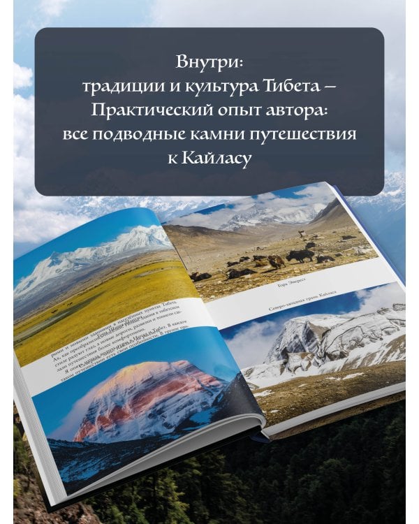 Тибет. Путешествие вокруг священной горы Кайлас