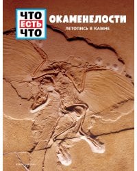 ОКАМЕНЕЛОСТИ. Летопись в камне