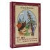 Про Федота-стрельца, удалого молодца. Издание с иллюстрациями
