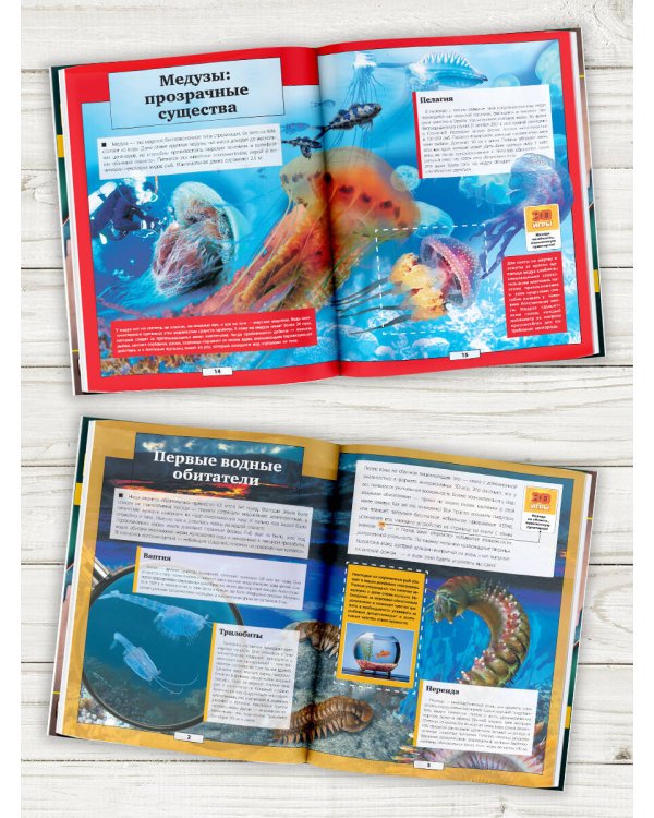 Подводный мир