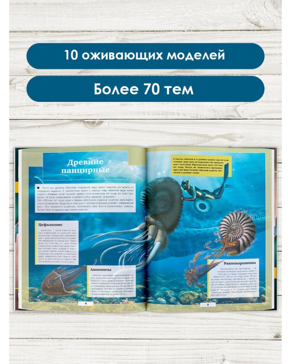 Подводный мир