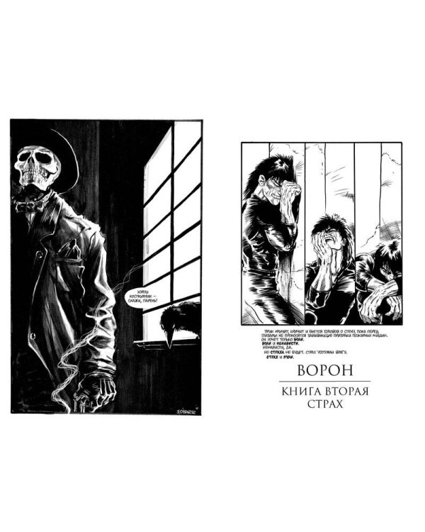 Дополнительное изображение книги «Ворон»