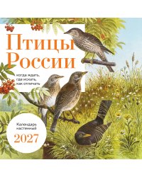 Птицы России: когда ждать, где искать, как отличать. Календарь настенный на 2027 год (300х300 мм)
