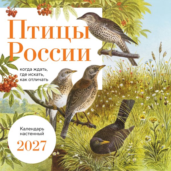 Обложка книги «Птицы России: когда ждать, где искать, как отличать. Календарь настенный на 2027 год (300х300 мм)», ISBN 9785042402272