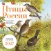Обложка книги «Птицы России: когда ждать, где искать, как отличать. Календарь настенный на 2027 год (300х300 мм)», ISBN 9785042402272