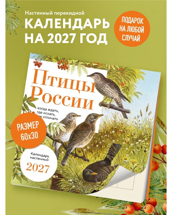 Дополнительное изображение книги «Птицы России: когда ждать, где искать, как отличать. Календарь настенный на 2027 год (300х300 мм)»