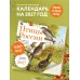 Дополнительное изображение книги «Птицы России: когда ждать, где искать, как отличать. Календарь настенный на 2027 год (300х300 мм)»