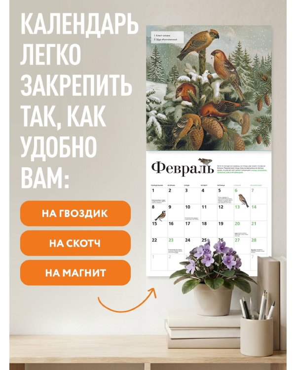 Дополнительное изображение книги «Птицы России: когда ждать, где искать, как отличать. Календарь настенный на 2027 год (300х300 мм)»