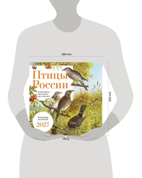 Дополнительное изображение книги «Птицы России: когда ждать, где искать, как отличать. Календарь настенный на 2027 год (300х300 мм)»