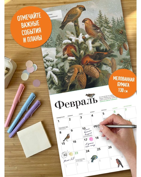Дополнительное изображение книги «Птицы России: когда ждать, где искать, как отличать. Календарь настенный на 2027 год (300х300 мм)»