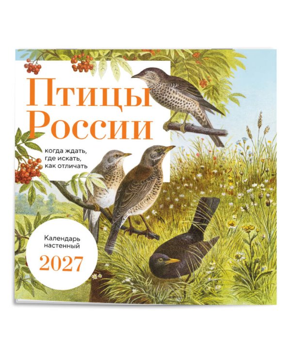 Дополнительное изображение книги «Птицы России: когда ждать, где искать, как отличать. Календарь настенный на 2027 год (300х300 мм)»
