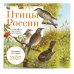 Дополнительное изображение книги «Птицы России: когда ждать, где искать, как отличать. Календарь настенный на 2027 год (300х300 мм)»