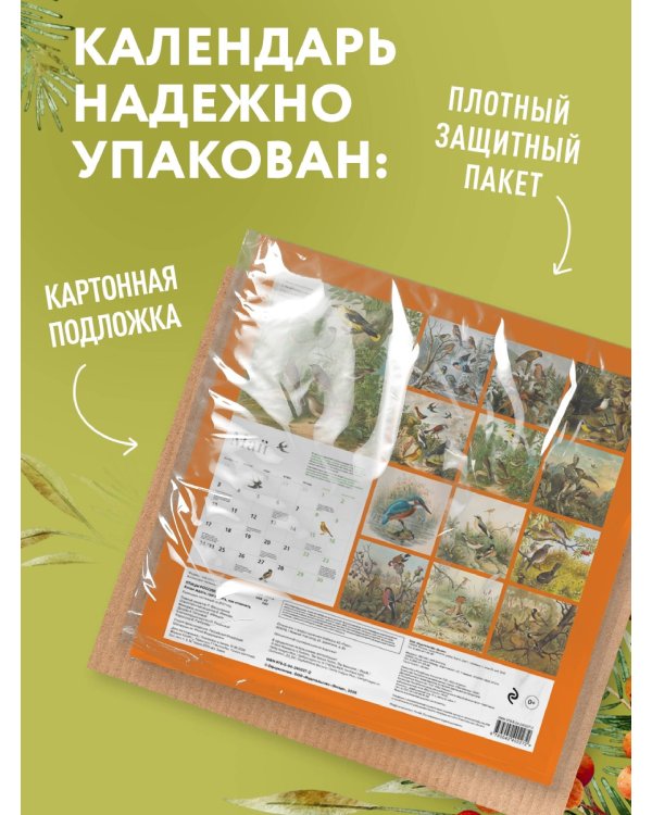 Дополнительное изображение книги «Птицы России: когда ждать, где искать, как отличать. Календарь настенный на 2027 год (300х300 мм)»