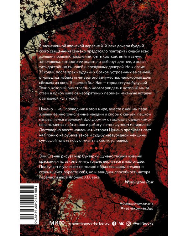 Незнакомка в городе сегуна. Путешествие в великий Эдо накануне больших перемен