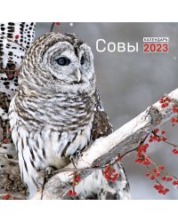 Совы. Календарь настенный на 2023 год (300х300)