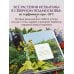 Цветущий сад из многолетников. Как создать цветники, которые будут радовать год за годом