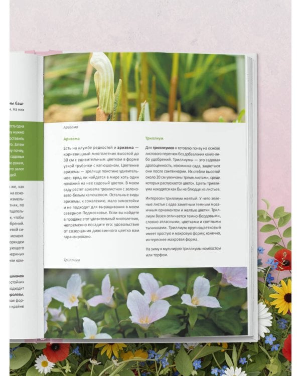 Цветущий сад из многолетников. Как создать цветники, которые будут радовать год за годом