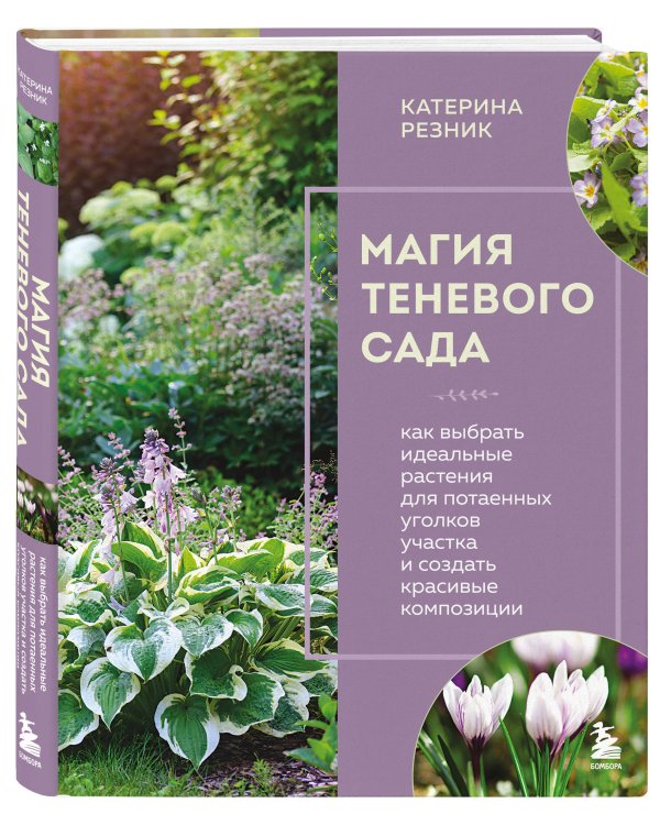 Магия теневого сада. Как выбрать идеальные растения для потаенных уголков участка и создать красивые композиции