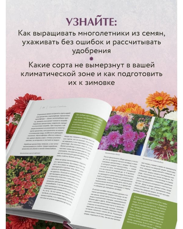 Цветущий сад из многолетников. Как создать цветники, которые будут радовать год за годом