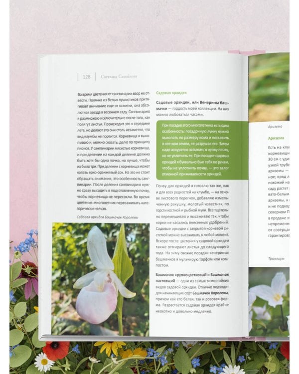 Цветущий сад из многолетников. Как создать цветники, которые будут радовать год за годом