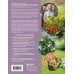 Магия теневого сада. Как выбрать идеальные растения для потаенных уголков участка и создать красивые композиции