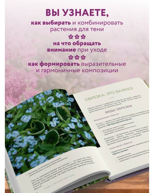 Магия теневого сада. Как выбрать идеальные растения для потаенных уголков участка и создать красивые композиции