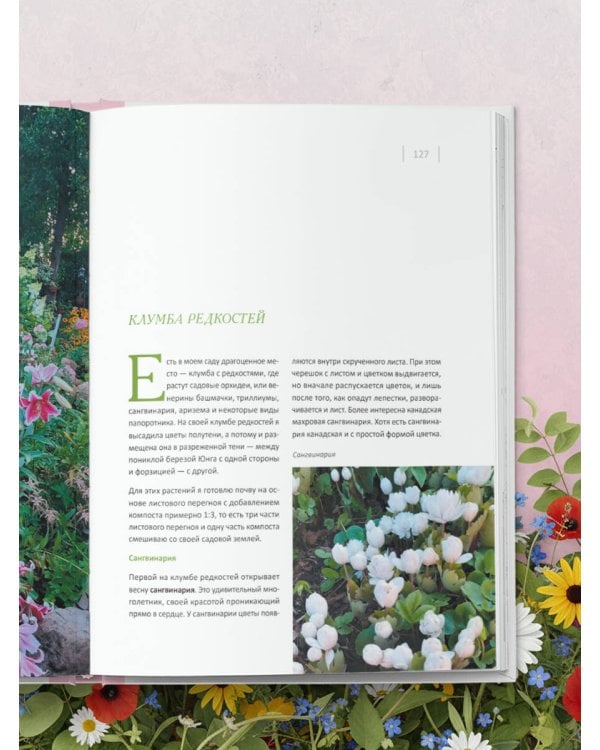 Цветущий сад из многолетников. Как создать цветники, которые будут радовать год за годом