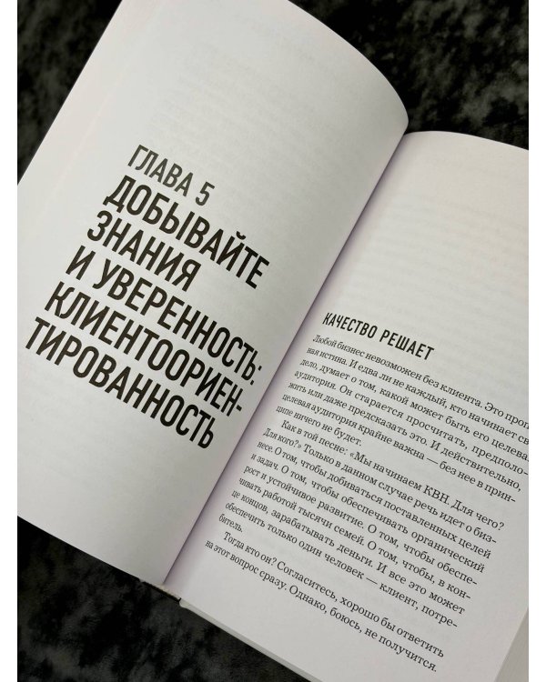 Дополнительное изображение книги «История крупнейшего маркетплейса в России. Изменить все вместе с Вайлдберриз»